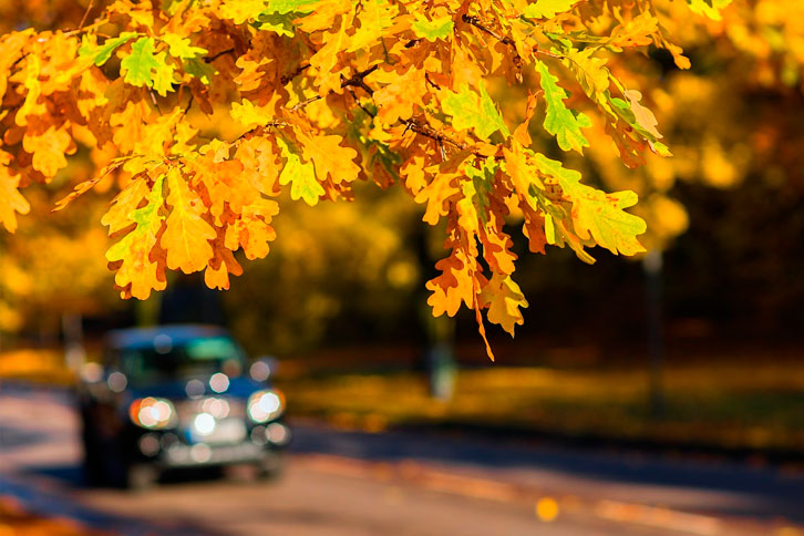 car with working windshield driving in the fall season